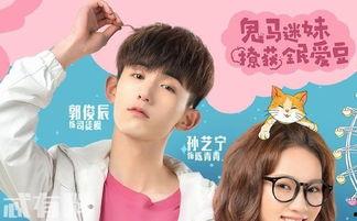 惹上冷殿下全集在线观看免费,宫廷恋曲,甜蜜来袭! 第3张 惹上冷殿下全集在线观看免费,宫廷恋曲,甜蜜来袭! 第3张