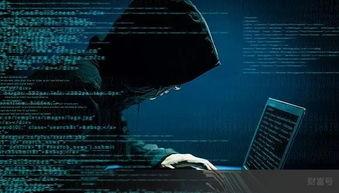 顶级黑客爆料视频下载软件,揭秘视频下载软件的秘密与技巧 第3张 顶级黑客爆料视频下载软件,揭秘视频下载软件的秘密与技巧 第3张