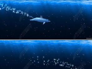 海洋之眼爆料视频最新 第1张 海洋之眼爆料视频最新 第1张